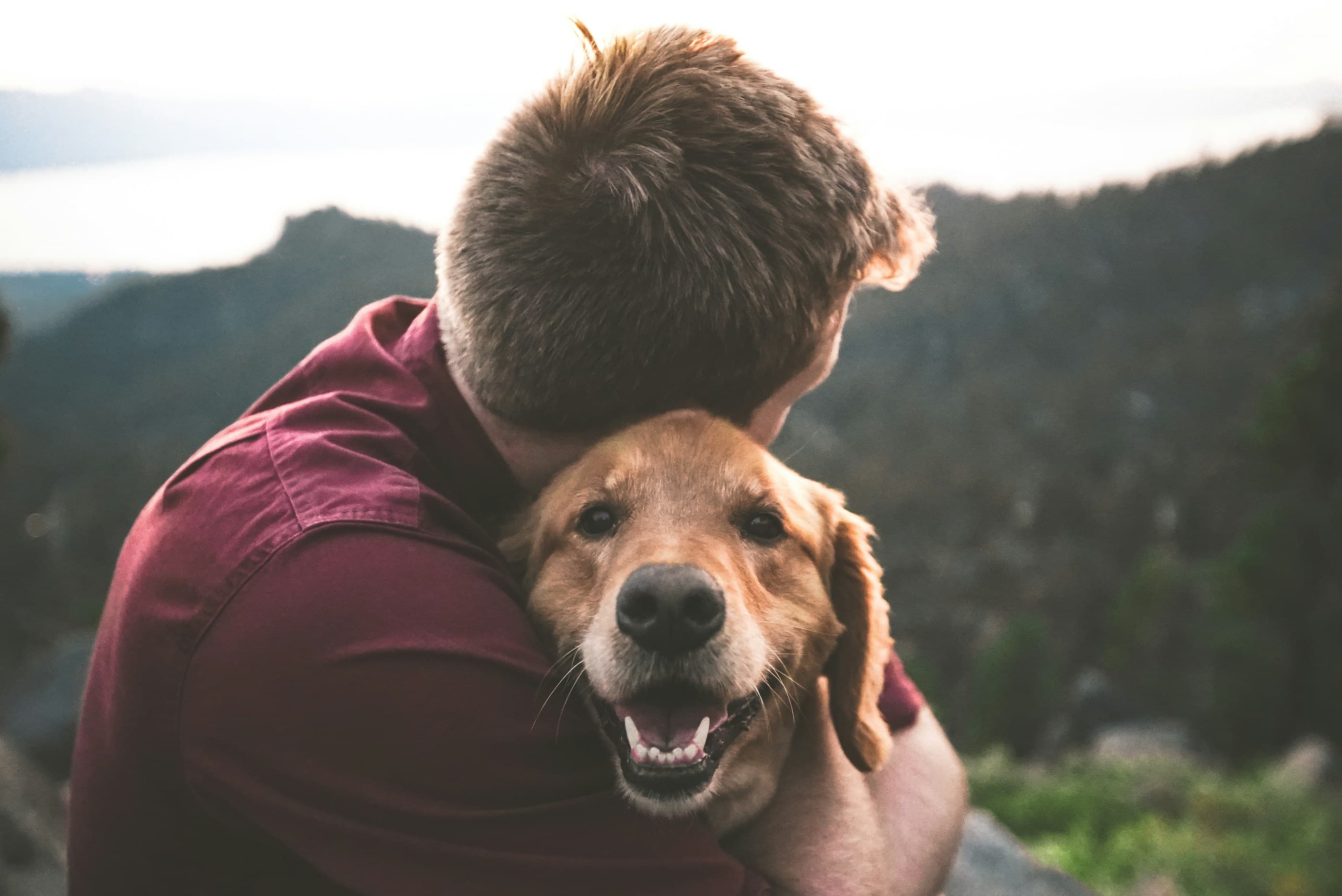 Ein Mensch hält einen Hund im Arm
